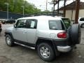 Titanium Metallic - FJ Cruiser 4WD Photo No. 13