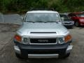 Titanium Metallic - FJ Cruiser 4WD Photo No. 14