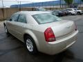 Linen Gold Metallic - 300 Touring Photo No. 7