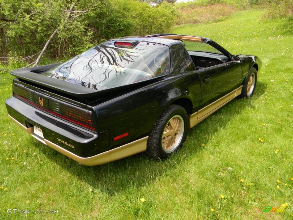 Black Sapphire 1986 Pontiac Firebird Trans Am Exterior Photo #80937249