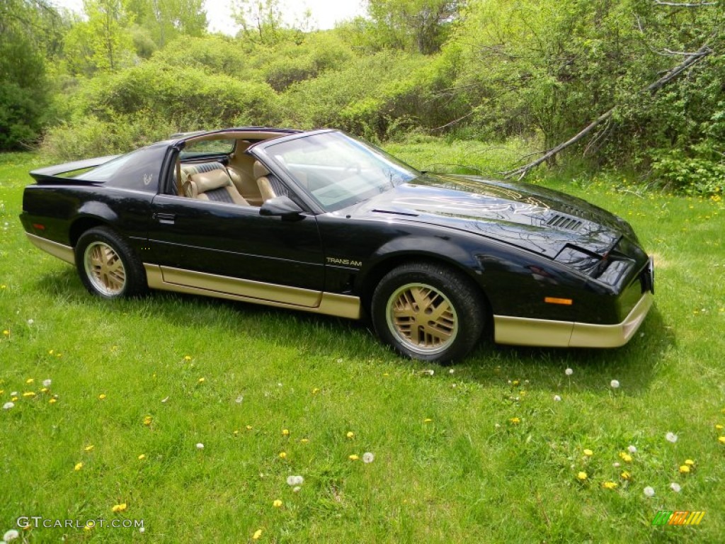 Black Sapphire 1986 Pontiac Firebird Trans Am Exterior Photo #80937272