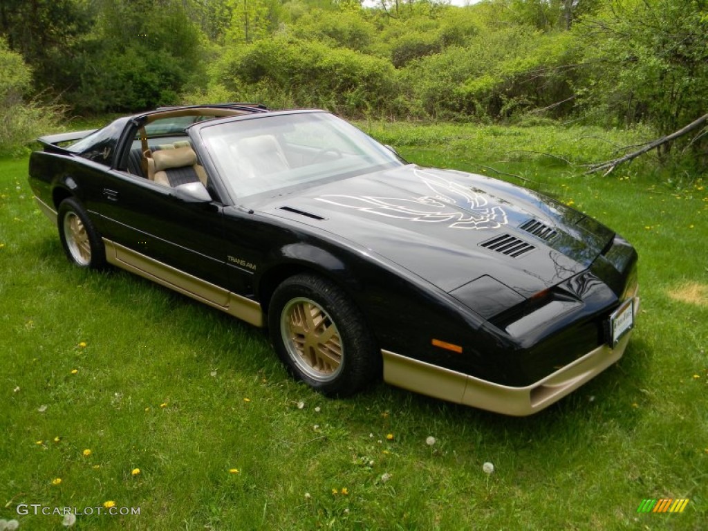 Black Sapphire 1986 Pontiac Firebird Trans Am Exterior Photo #80937300