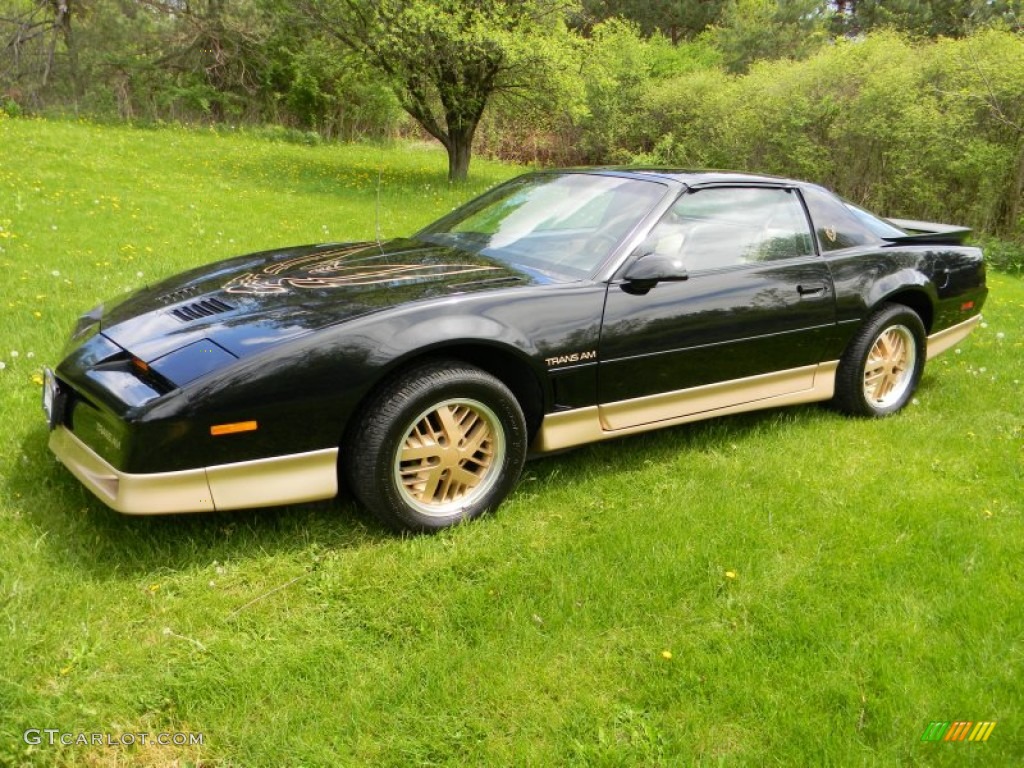 Black Sapphire 1986 Pontiac Firebird Trans Am Exterior Photo #80937318