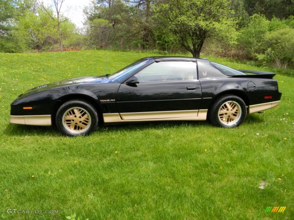 Black Sapphire 1986 Pontiac Firebird Trans Am Exterior Photo #80937342