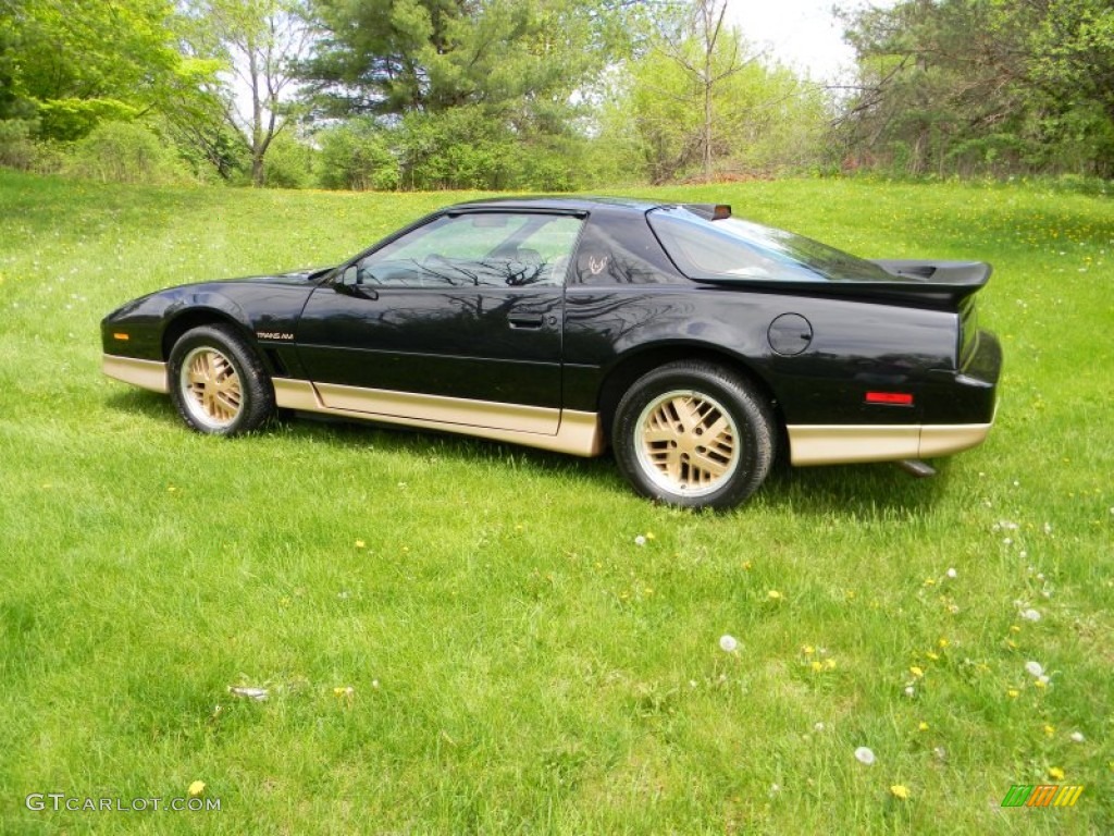 Black Sapphire 1986 Pontiac Firebird Trans Am Exterior Photo #80937360