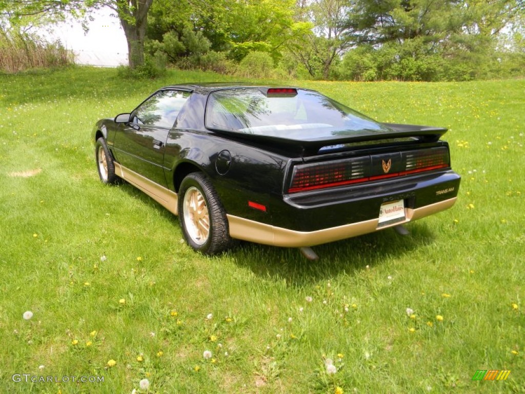 1986 Firebird Trans Am - Black Sapphire / Grey photo #11