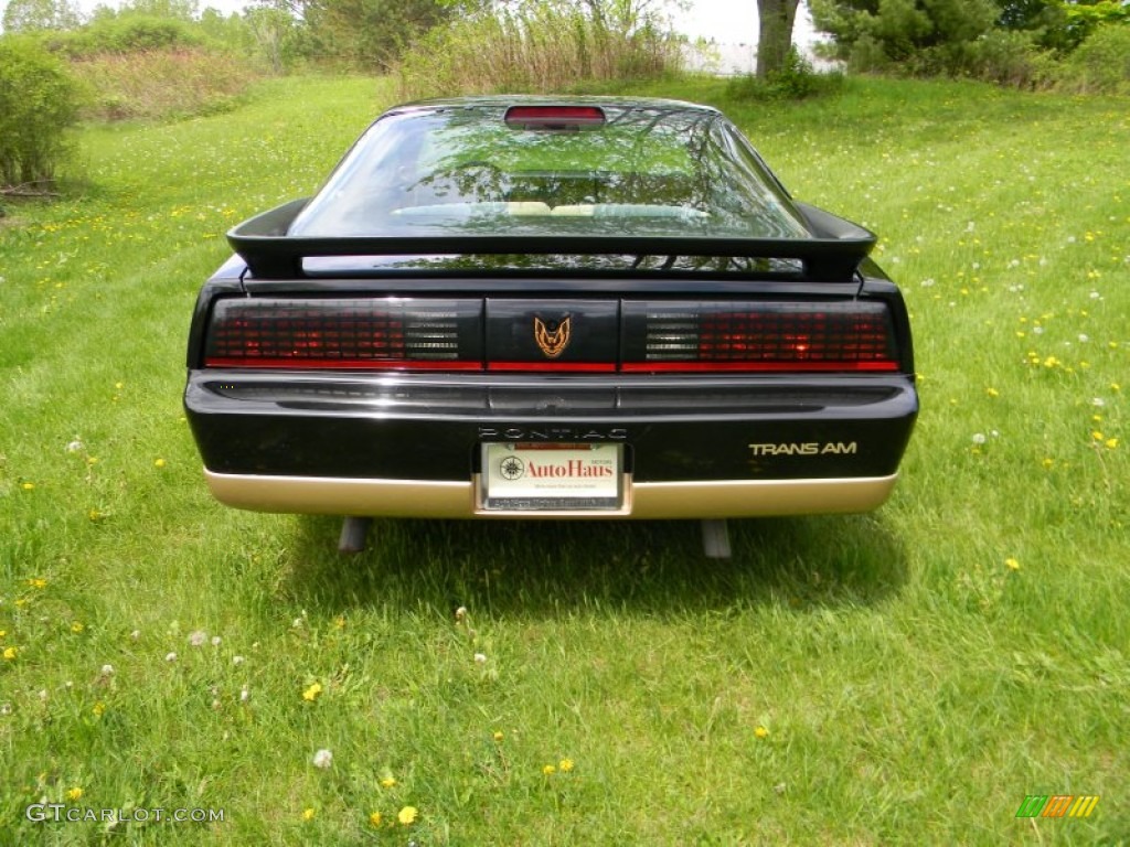 Black Sapphire 1986 Pontiac Firebird Trans Am Exterior Photo #80937399