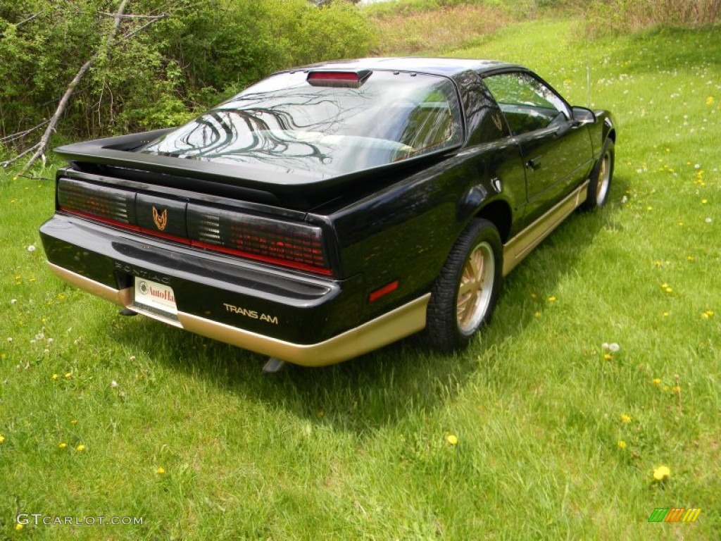 1986 Firebird Trans Am - Black Sapphire / Grey photo #13