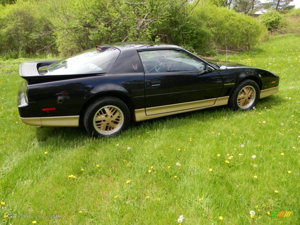 Black Sapphire 1986 Pontiac Firebird Trans Am Exterior Photo #80937451