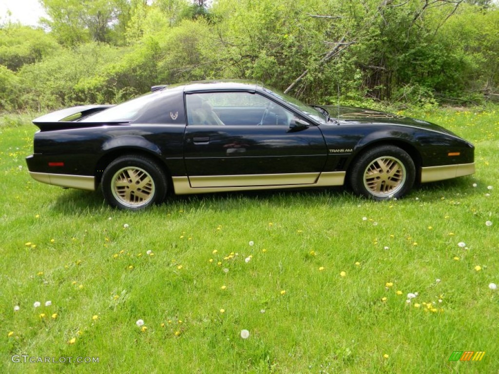 Black Sapphire 1986 Pontiac Firebird Trans Am Exterior Photo #80937477