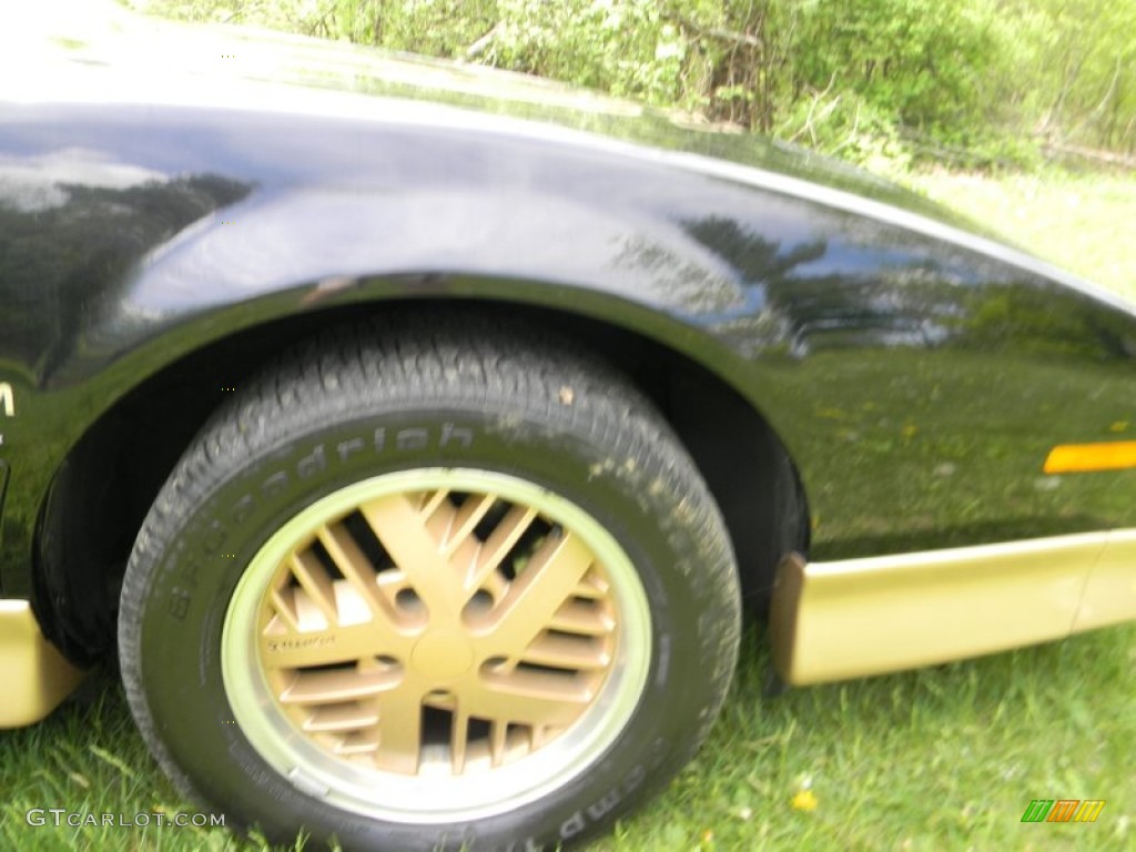 1986 Firebird Trans Am - Black Sapphire / Grey photo #30