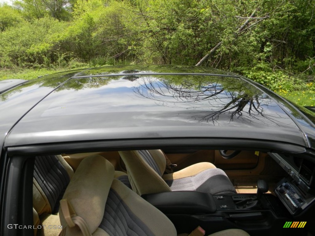 1986 Firebird Trans Am - Black Sapphire / Grey photo #31
