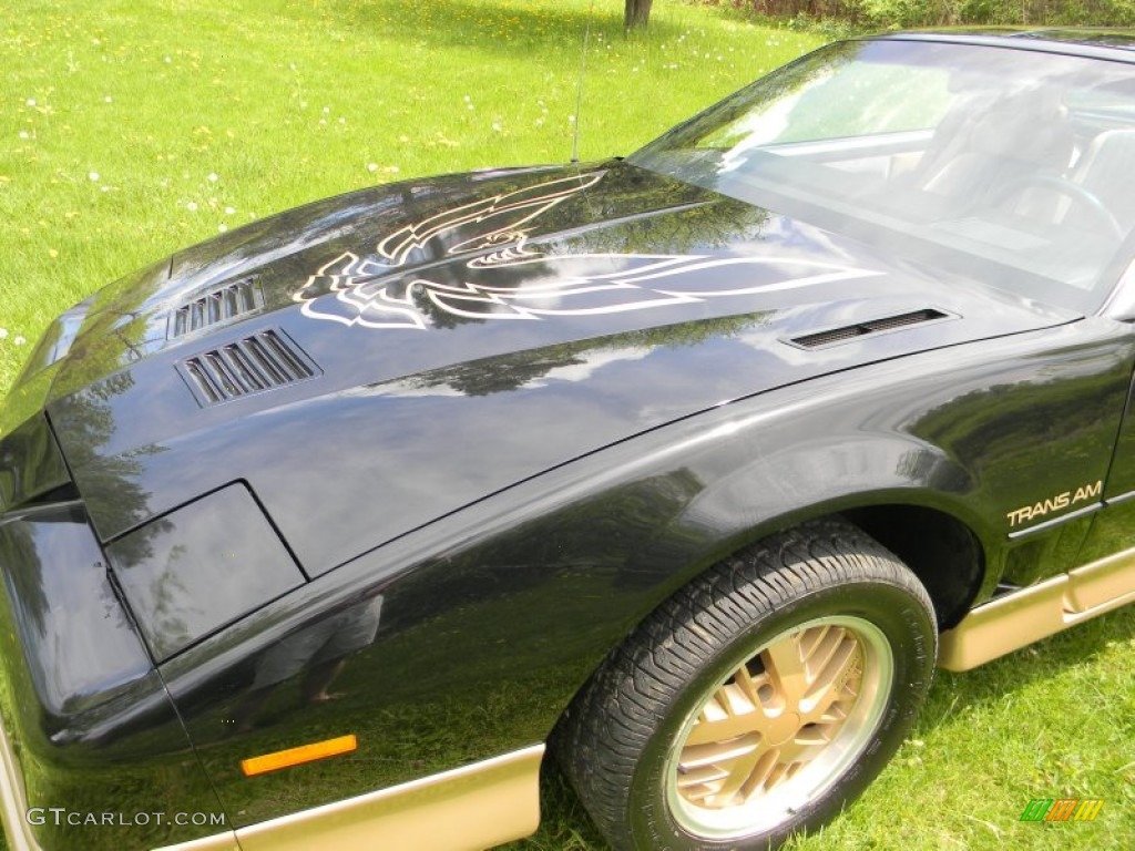 1986 Pontiac Firebird Trans Am Marks and Logos Photo #80937924