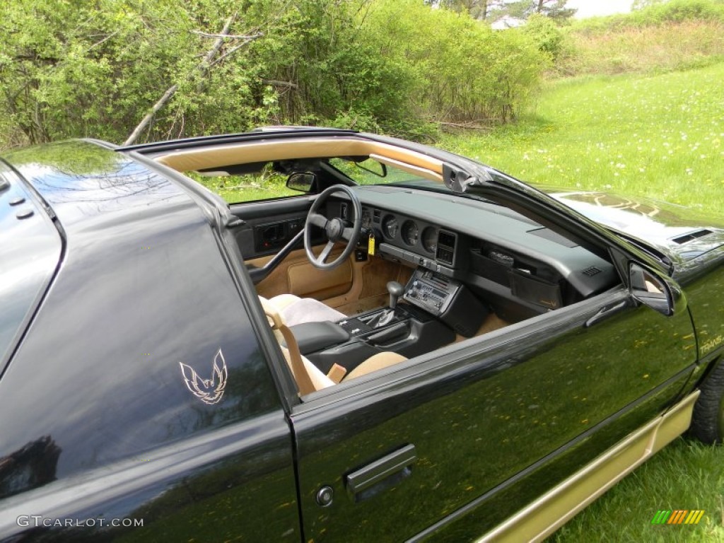 1986 Firebird Trans Am - Black Sapphire / Grey photo #40