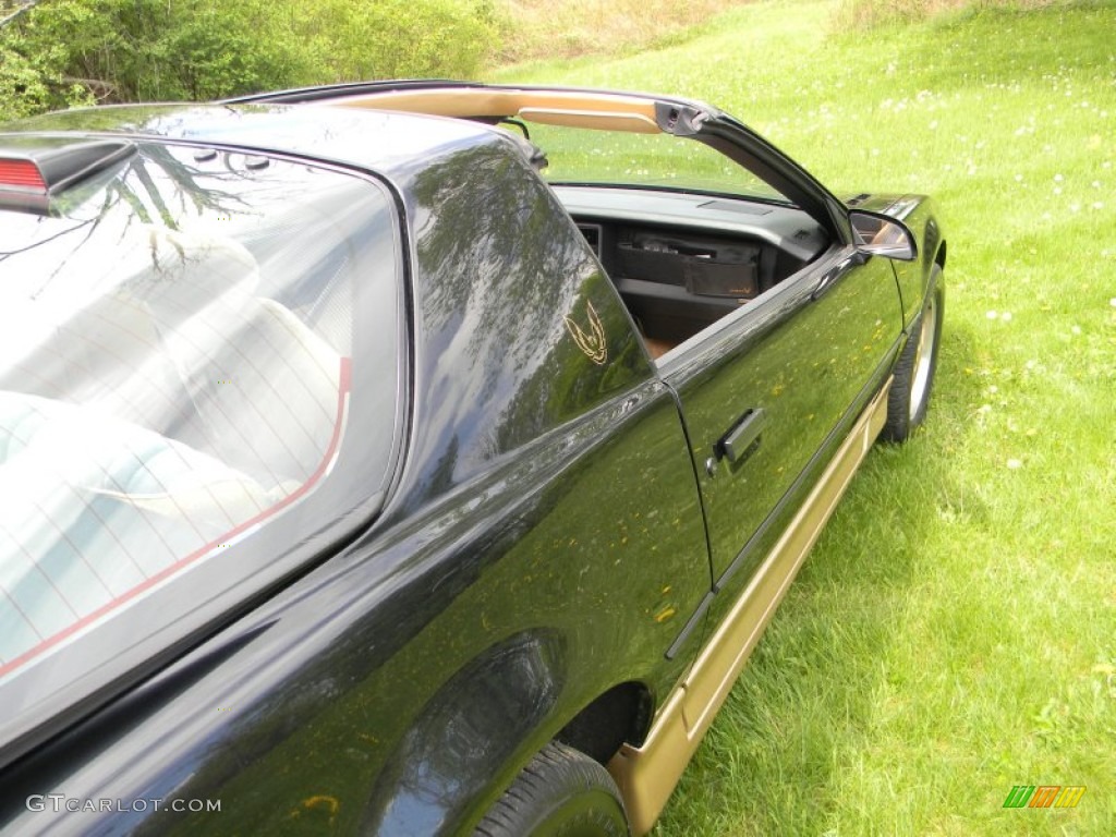 1986 Firebird Trans Am - Black Sapphire / Grey photo #42