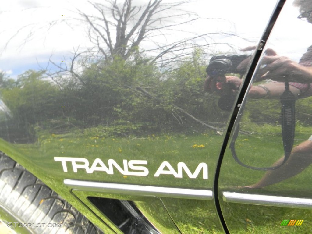 1986 Pontiac Firebird Trans Am Marks and Logos Photo #80938122