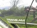  1986 Firebird Trans Am Logo