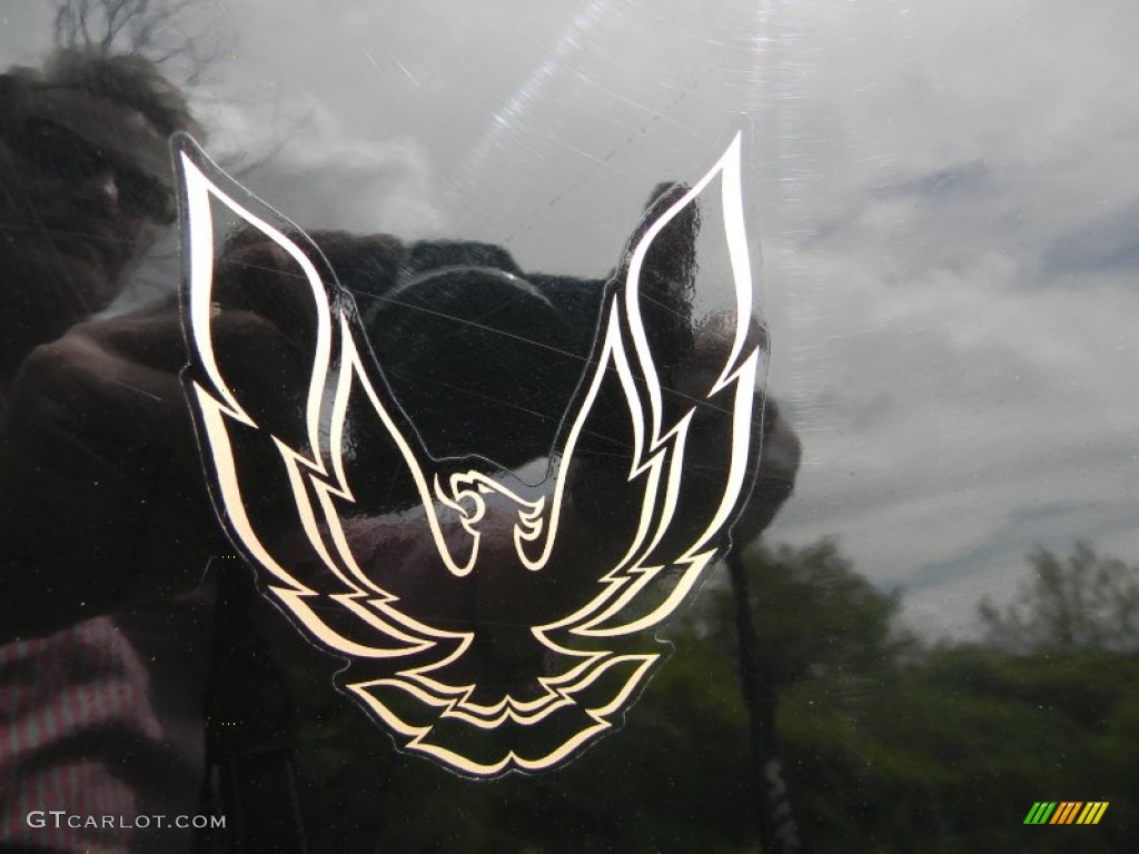 1986 Pontiac Firebird Trans Am Marks and Logos Photo #80938132