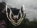 1986 Pontiac Firebird Trans Am Badge and Logo Photo