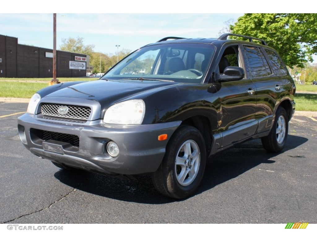 2004 Santa Fe GLS - Black Obsidian / Gray photo #1