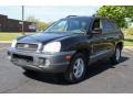 2004 Black Obsidian Hyundai Santa Fe GLS  photo #1