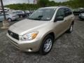 Savannah Metallic - RAV4 4WD Photo No. 3
