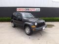 Black Clearcoat 2007 Jeep Liberty Sport