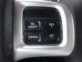 Black/Mopar Blue Controls Photo for 2011 Dodge Charger #80946608