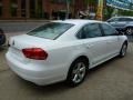 Candy White - Passat 2.5L SE Photo No. 11