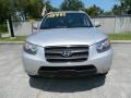 2007 Bright Silver Hyundai Santa Fe Limited  photo #8