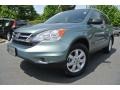 Opal Sage Metallic - CR-V SE Photo No. 1