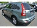 2011 Opal Sage Metallic Honda CR-V SE  photo #4