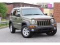 2004 Cactus Green Pearl Jeep Liberty Sport 4x4 #80948505