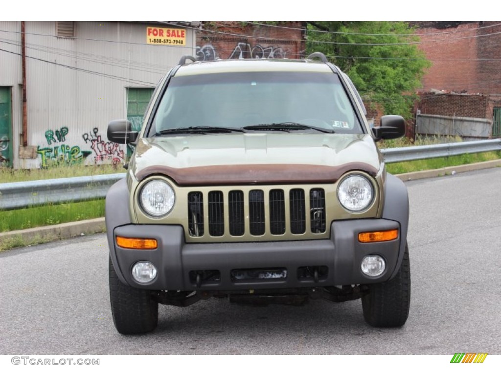 2004 Liberty Sport 4x4 - Cactus Green Pearl / Dark Slate Gray photo #5