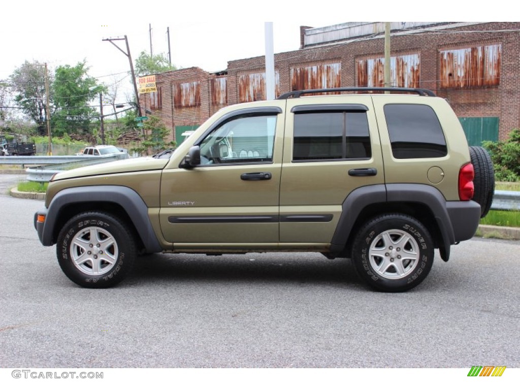 2004 Liberty Sport 4x4 - Cactus Green Pearl / Dark Slate Gray photo #6