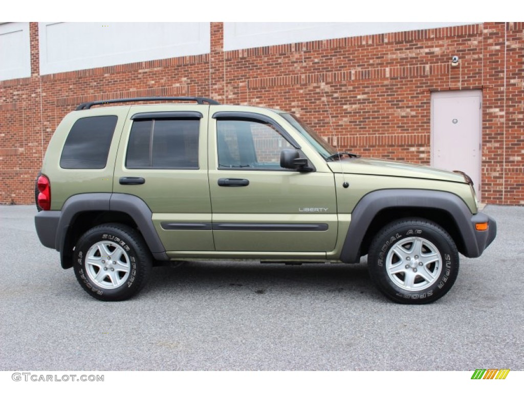 2004 Liberty Sport 4x4 - Cactus Green Pearl / Dark Slate Gray photo #8