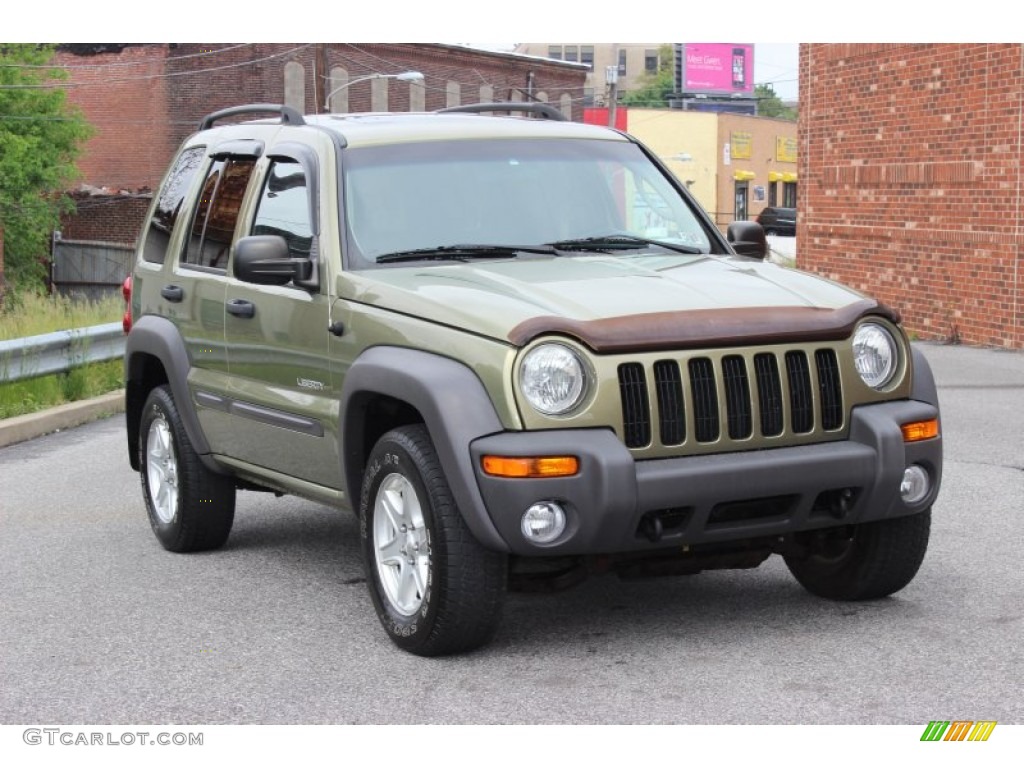 2004 Liberty Sport 4x4 - Cactus Green Pearl / Dark Slate Gray photo #9