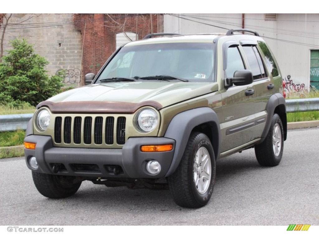 2004 Liberty Sport 4x4 - Cactus Green Pearl / Dark Slate Gray photo #10