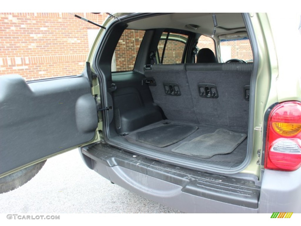 2004 Liberty Sport 4x4 - Cactus Green Pearl / Dark Slate Gray photo #16