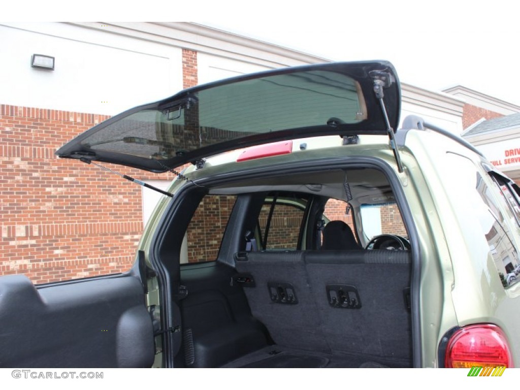 2004 Liberty Sport 4x4 - Cactus Green Pearl / Dark Slate Gray photo #17