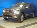 2009 Silver Graphite Infiniti QX 56 4WD  photo #3