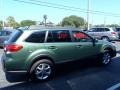 Cypress Green Pearl - Outback 2.5i Limited Photo No. 7