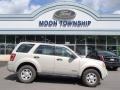 Light Sage Metallic 2008 Ford Escape XLS