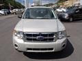 2008 Light Sage Metallic Ford Escape XLS  photo #3