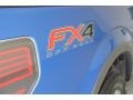 2013 Blue Flame Metallic Ford F150 FX4 SuperCrew 4x4  photo #21