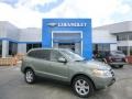 2008 Platinum Sage Hyundai Santa Fe Limited 4WD  photo #1