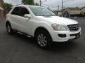 Alabaster White - ML 350 4Matic Photo No. 3