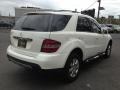 Alabaster White - ML 350 4Matic Photo No. 4