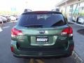 2010 Cypress Green Pearl Subaru Outback 2.5i Premium Wagon  photo #6