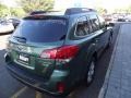 2010 Cypress Green Pearl Subaru Outback 2.5i Premium Wagon  photo #7